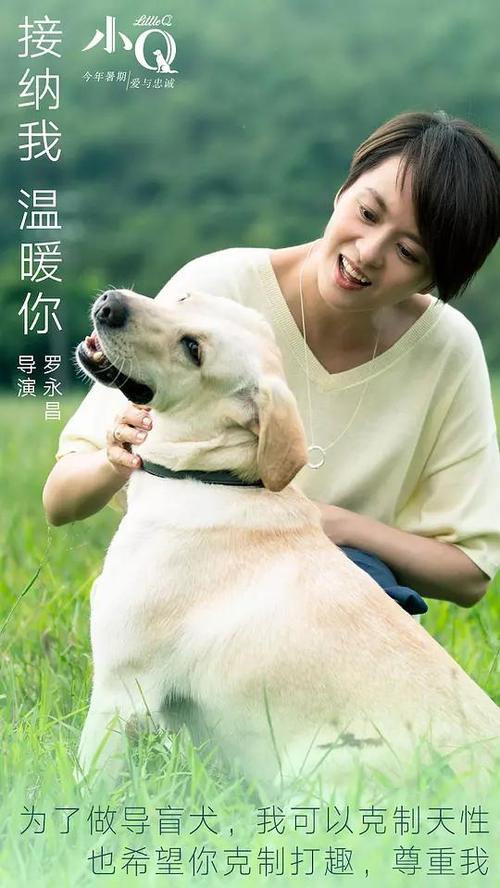 怎么买印第安纳州结婚证